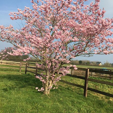 B&B Haras De La Cour Fleury Saint-Michel-de-Livet 외부 사진