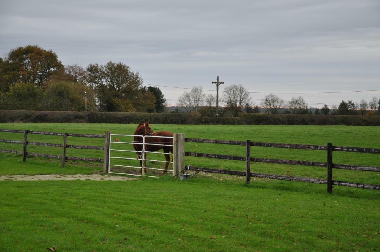 B&B Haras De La Cour Fleury Saint-Michel-de-Livet 외부 사진