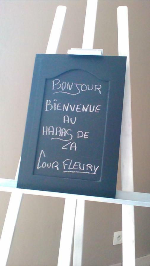 B&B Haras De La Cour Fleury Saint-Michel-de-Livet 외부 사진