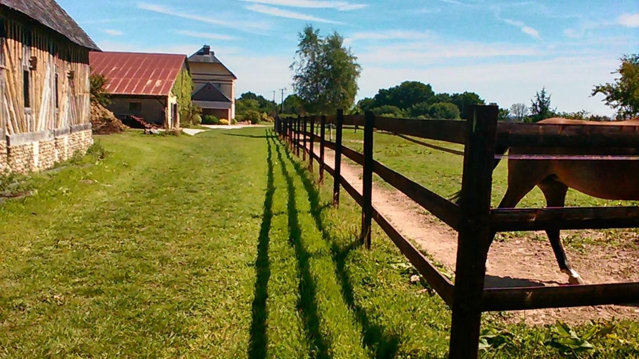 B&B Haras De La Cour Fleury Saint-Michel-de-Livet 외부 사진